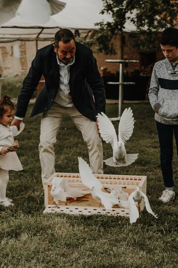 Mariage à Buzet sur Tarn