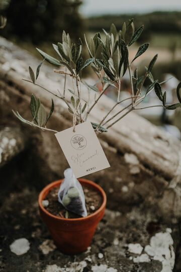 mariage au chateau saint jean des plats