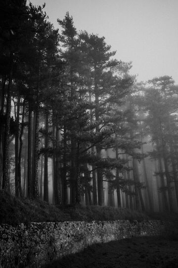 séance grossesse occitanie