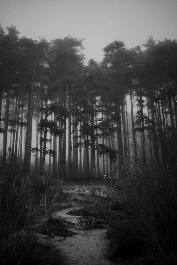 séance grossesse occitanie